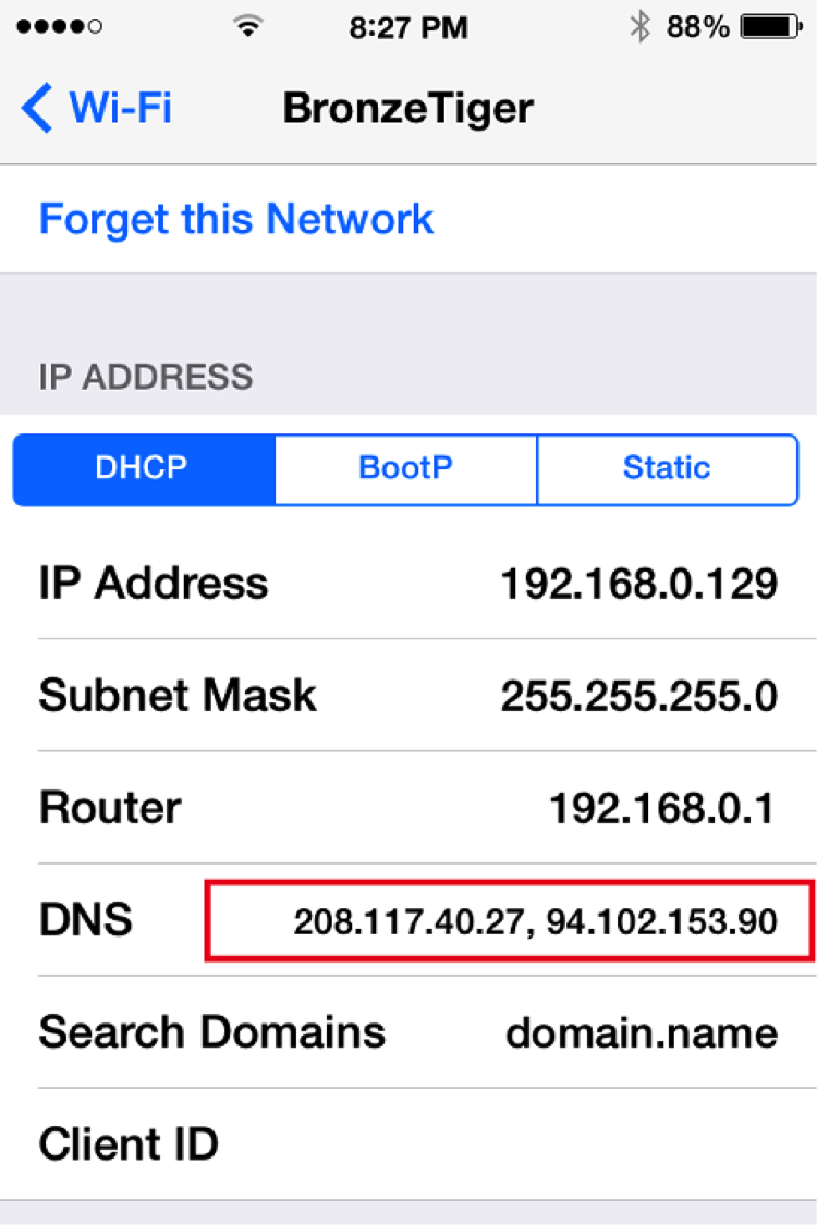 dns4